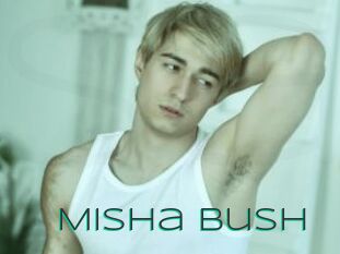 Misha_Bush