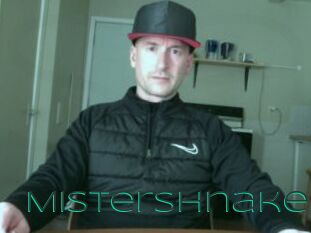 MisterShnake