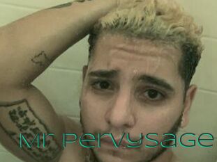 Mr_pervysage