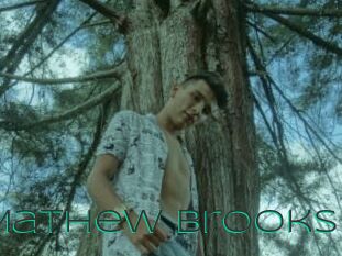 Mathew_brooks