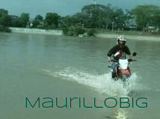 Maurillobig