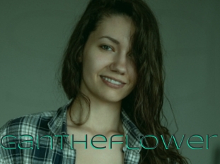 Megantheflower
