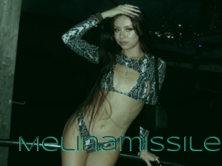 Melinamissile
