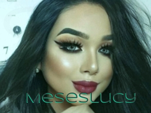 Meseslucy