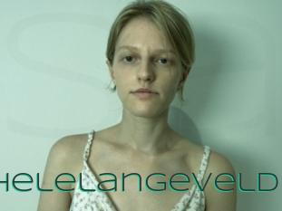Michelelangeveld