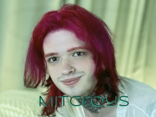 Mitcroys