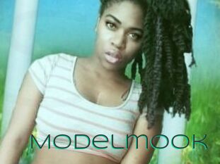 Modelmook