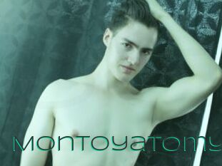 Montoyatomy