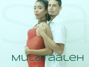 Mulataaleh