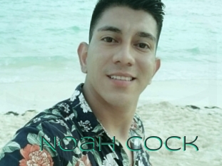 Noah_cock