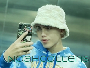 noahcollens Sex Agent