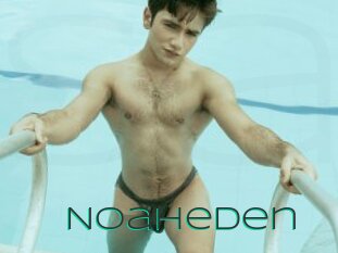 Noaheden