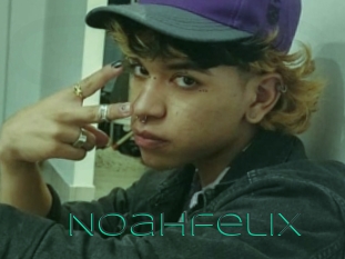 noahfelix Sex Agent