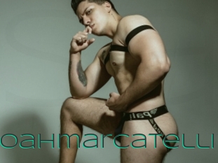 noahmarcatelli Sex Agent
