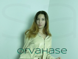 Orvahase