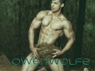 owenwolfe Sex Agent