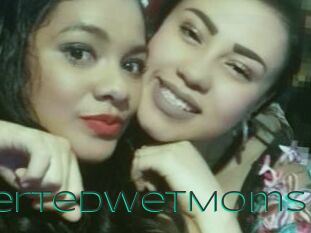 PervertedWetMoms