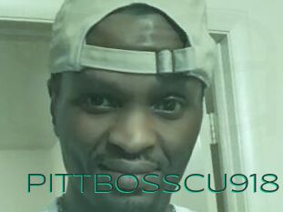 PittBossCU918