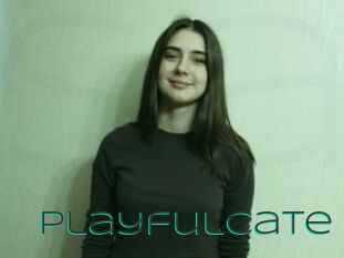 PlayfulCate