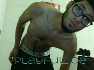 PlayfulJoe