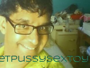 PocketPussySexToy
