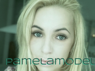 Pamelamodel
