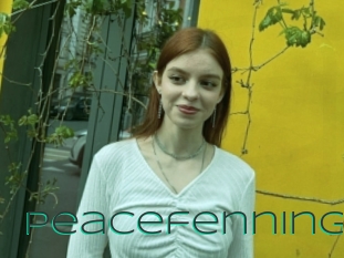 Peacefenning