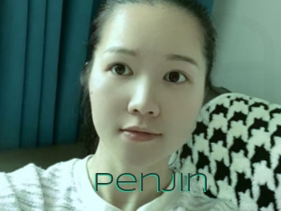 Penjin