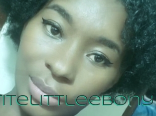 petitelittleebony Sex Agent