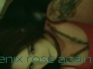 Phoenix_rose_again
