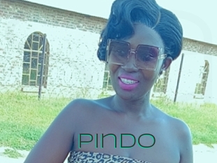 Pindo