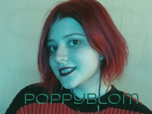 Poppyblom