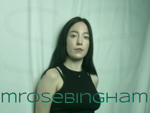 Primrosebingham