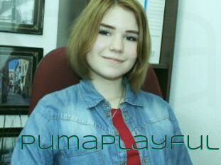 Pumaplayful