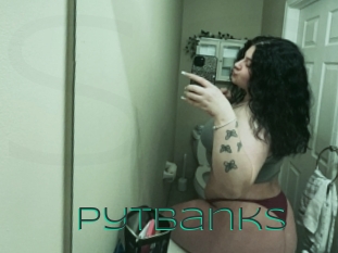 Pytbanks