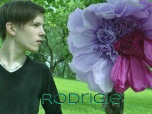 Rodrigie