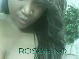 Rosea_XO
