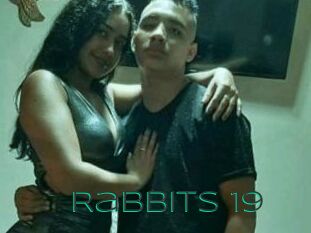 Rabbits_19