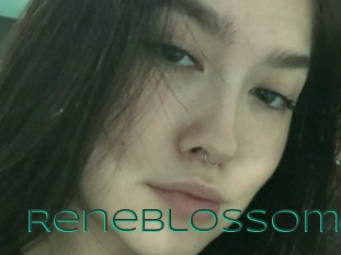 Reneblossom