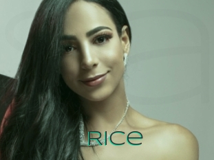 Rice