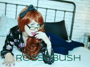Rossebush