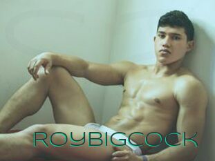 Roybigcock