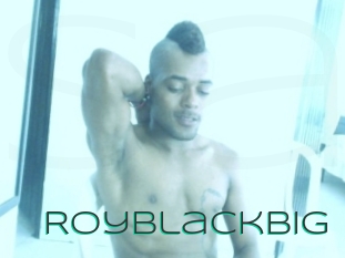 royblackbig Sex Agent