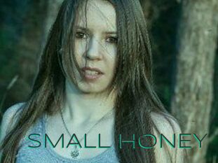 SMALL_HONEY