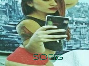 SOFI_G