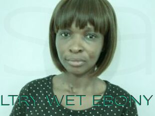 SULTRY_WET_EBONY