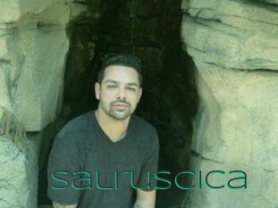 Salruscica