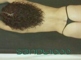 Sandy1000