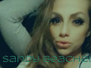 Sandy_Beaches