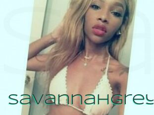 Savannah_Grey